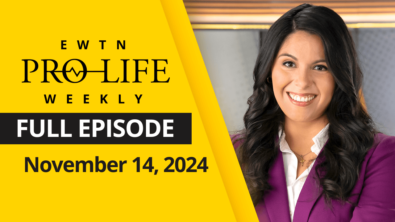  EWTN Pro-Life Weekly | Full EPISODE | Thursday, November 14, 2024